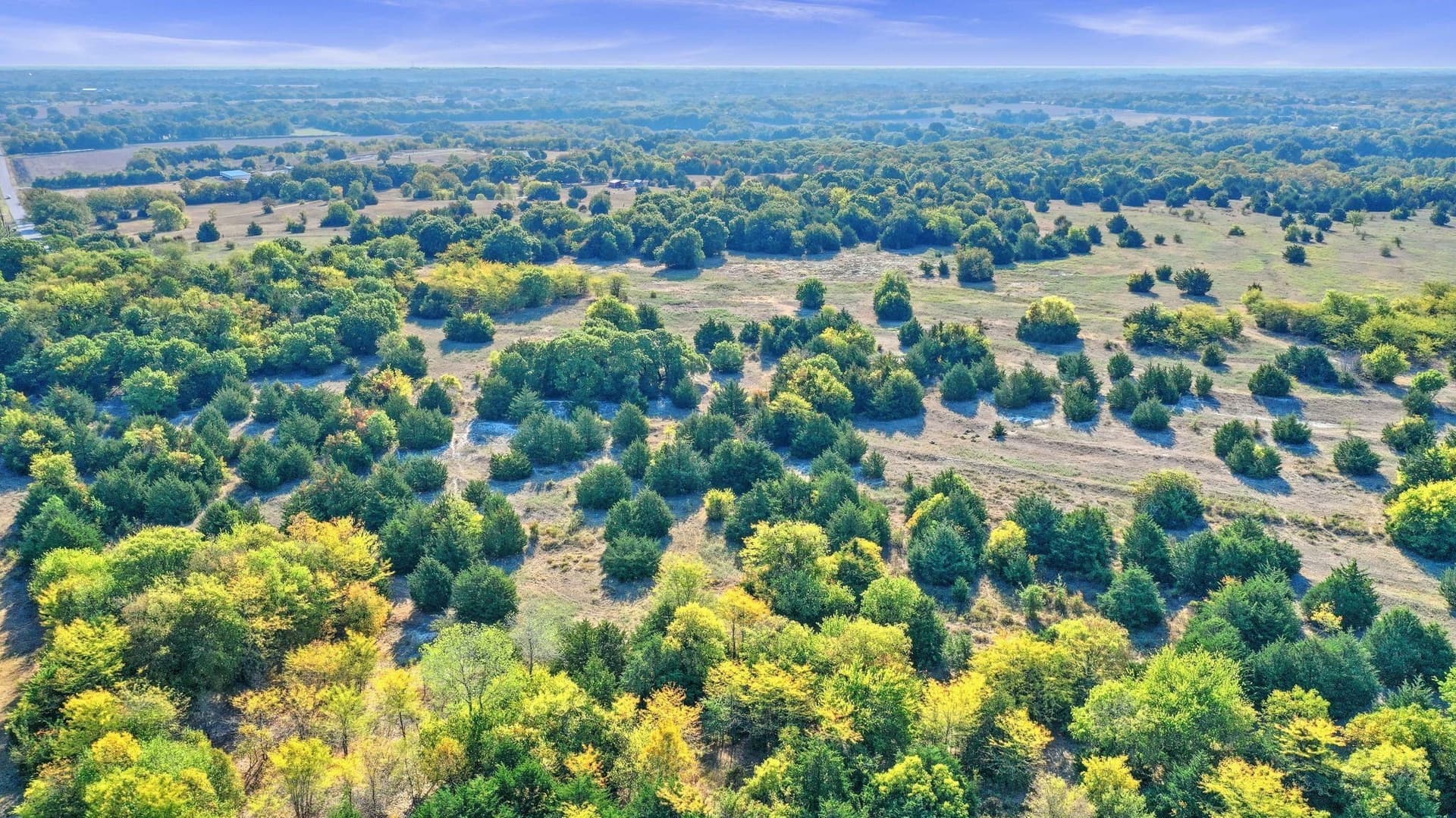 33.3 acres in Collin County - photo 22