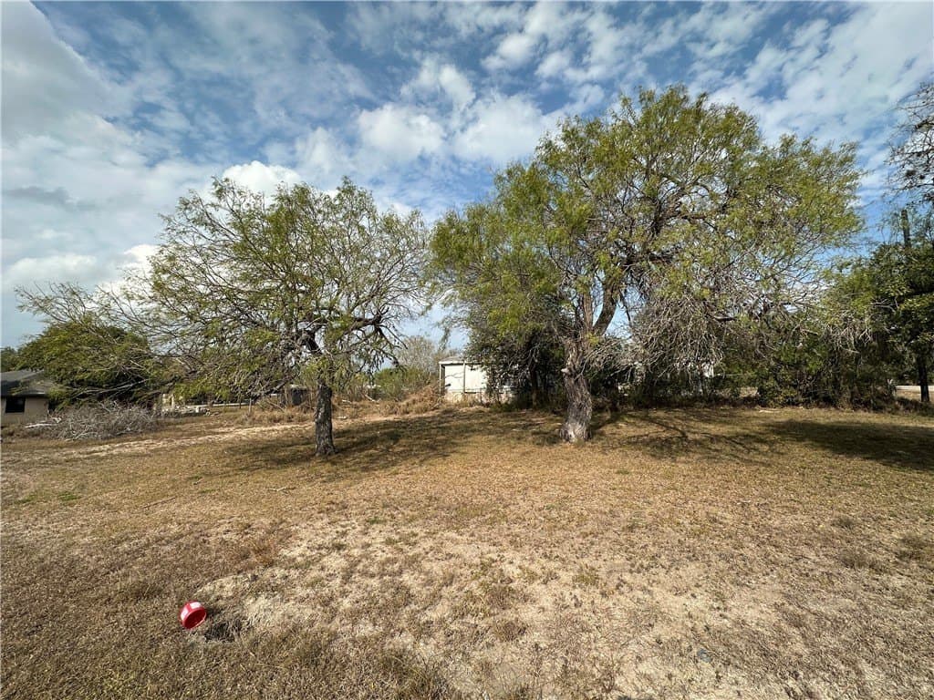 0.2 acres in San Patricio County gallery image 3