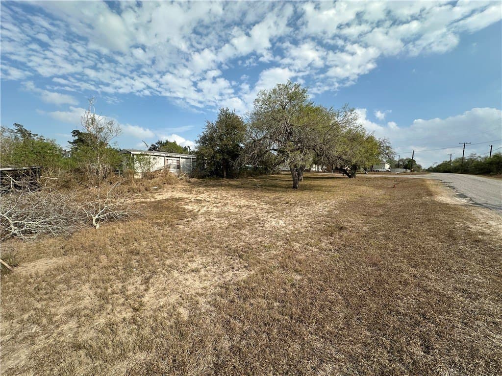 0.2 acres in San Patricio County gallery image 2