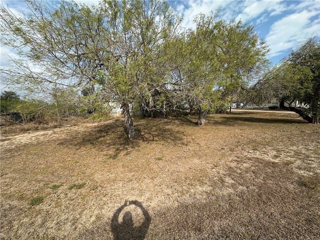 0.2 acres in San Patricio County gallery image 4