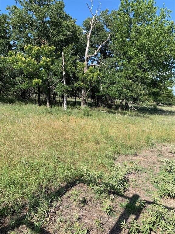 31.09 acres in Jack County gallery image 3