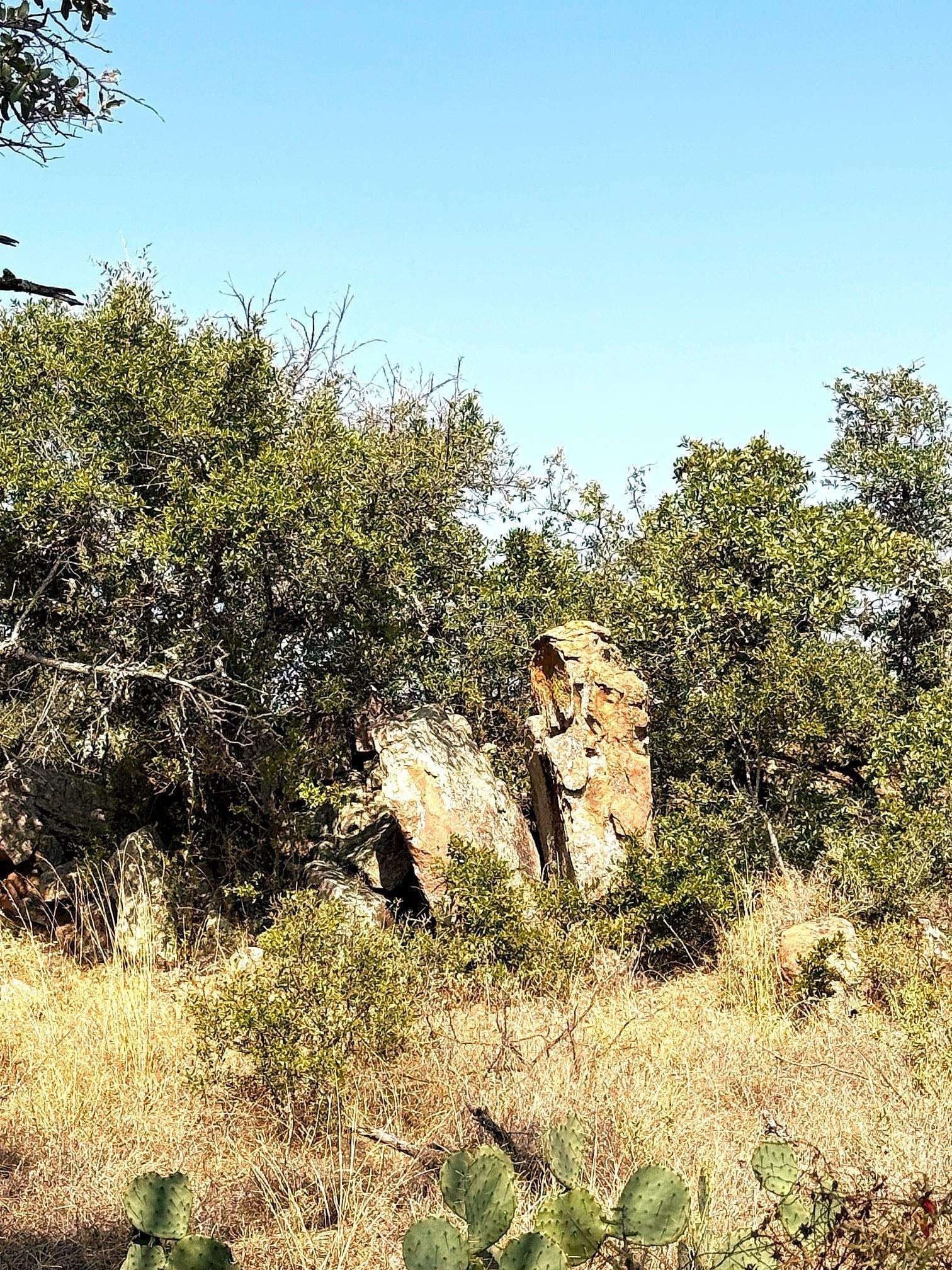 280 acres in Llano County - photo 13