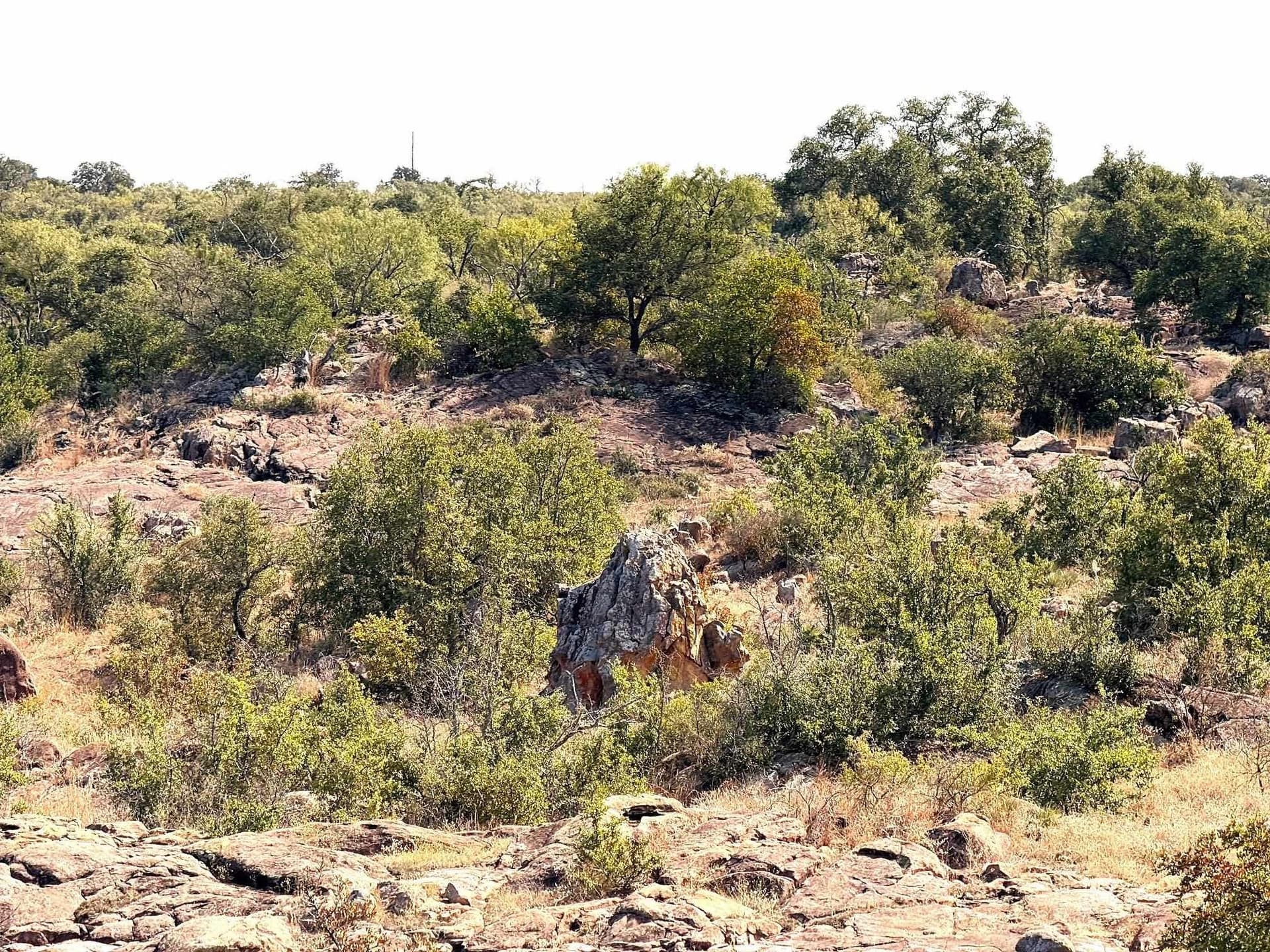 280 acres in Llano County - photo 19