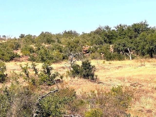280 acres in Llano County - photo 12