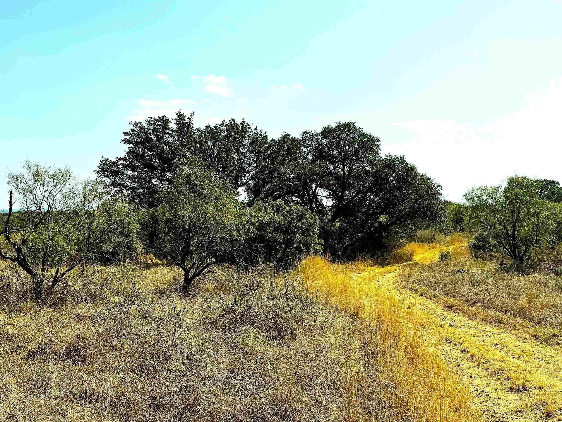 280 acres in Llano County gallery image 4