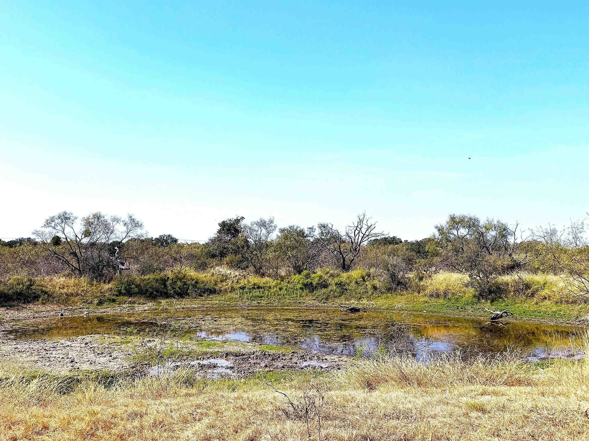 280 acres in Llano County gallery image 3