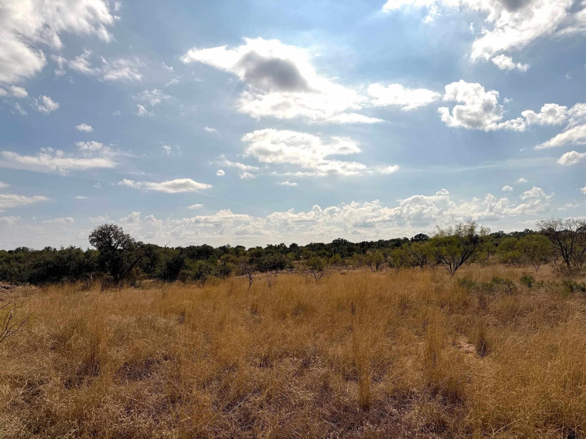 280 acres in Llano County - photo 24