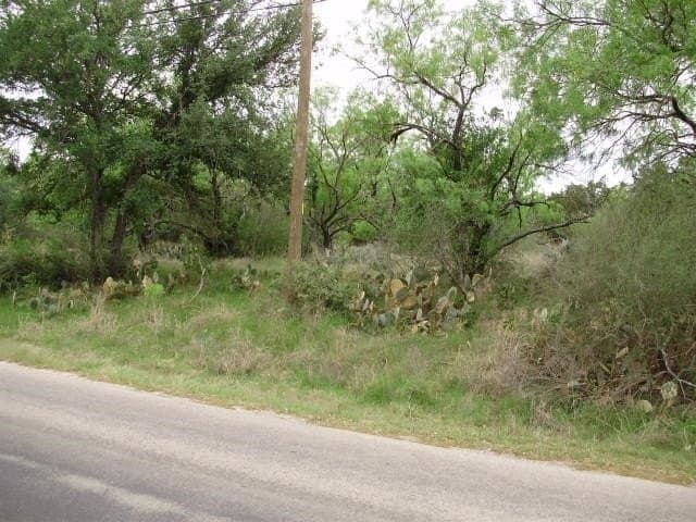 0.24 acres in Llano County gallery image 4