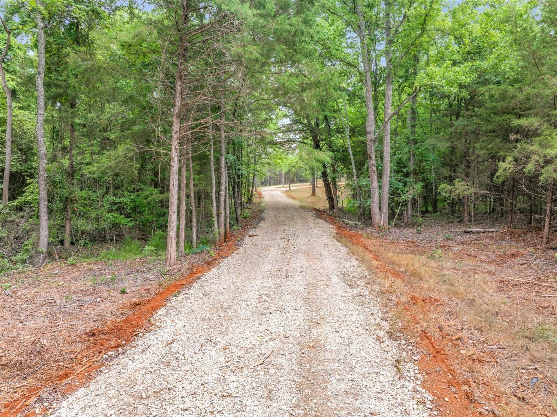 33.58 acres in Smith County gallery image 2