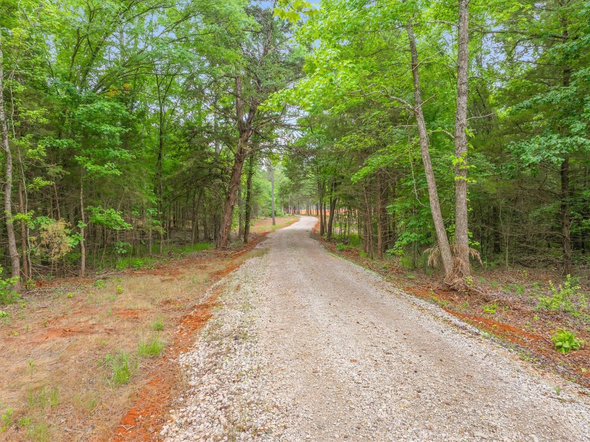 33.58 acres in Smith County gallery image 3