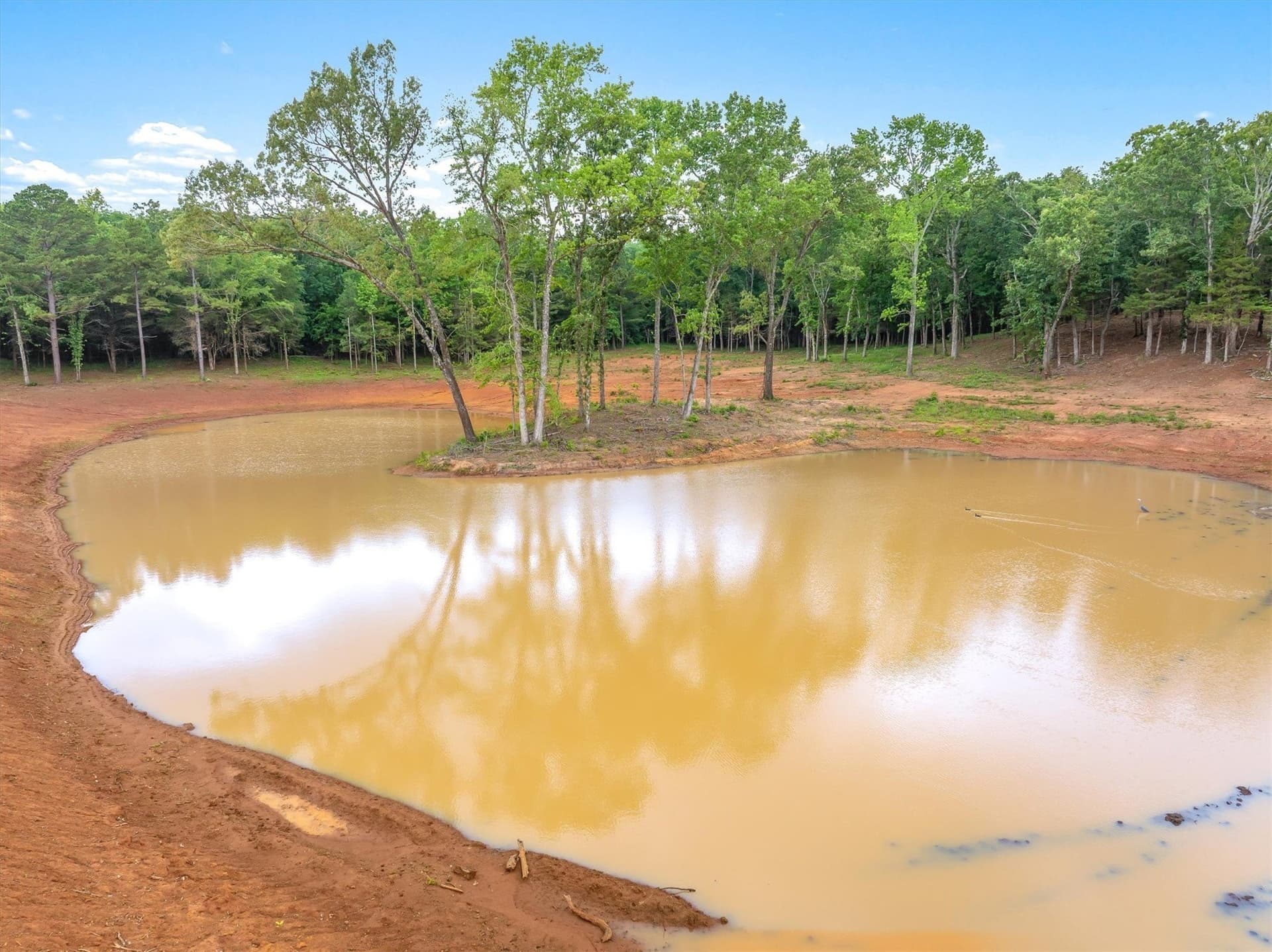 33.58 acres in Smith County - photo 17
