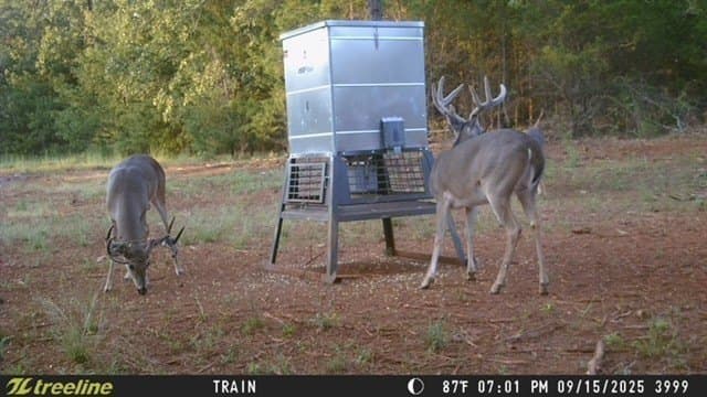 33.58 acres in Smith County - photo 33