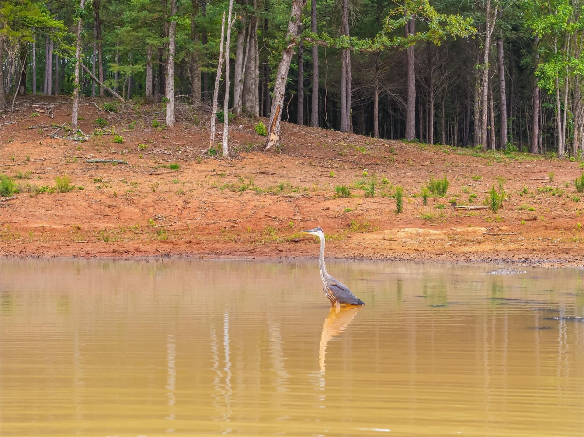 33.58 acres in Smith County - photo 18