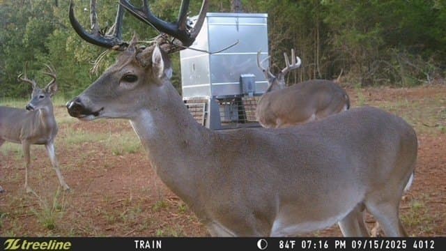 33.58 acres in Smith County - photo 7
