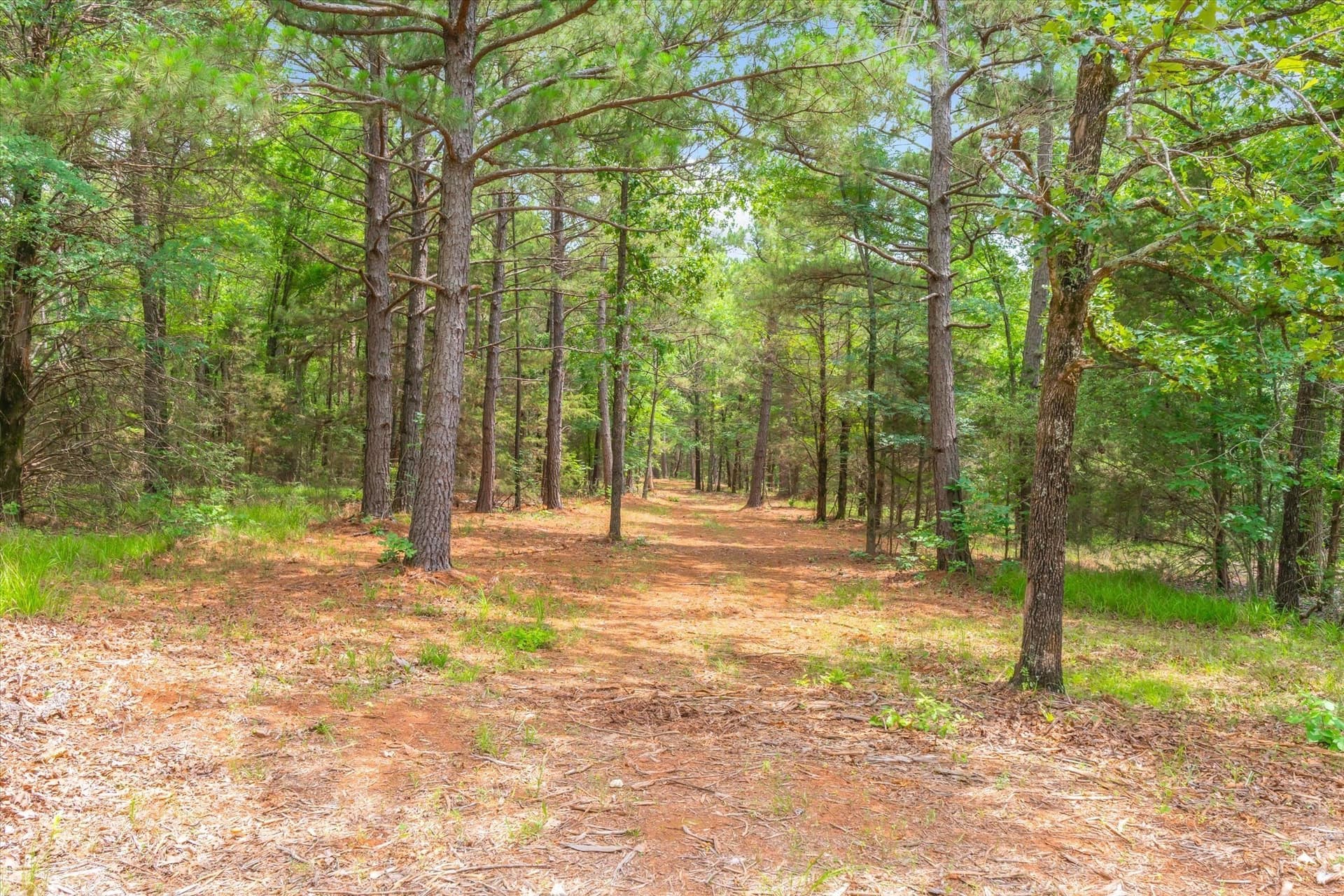 33.58 acres in Smith County - photo 24