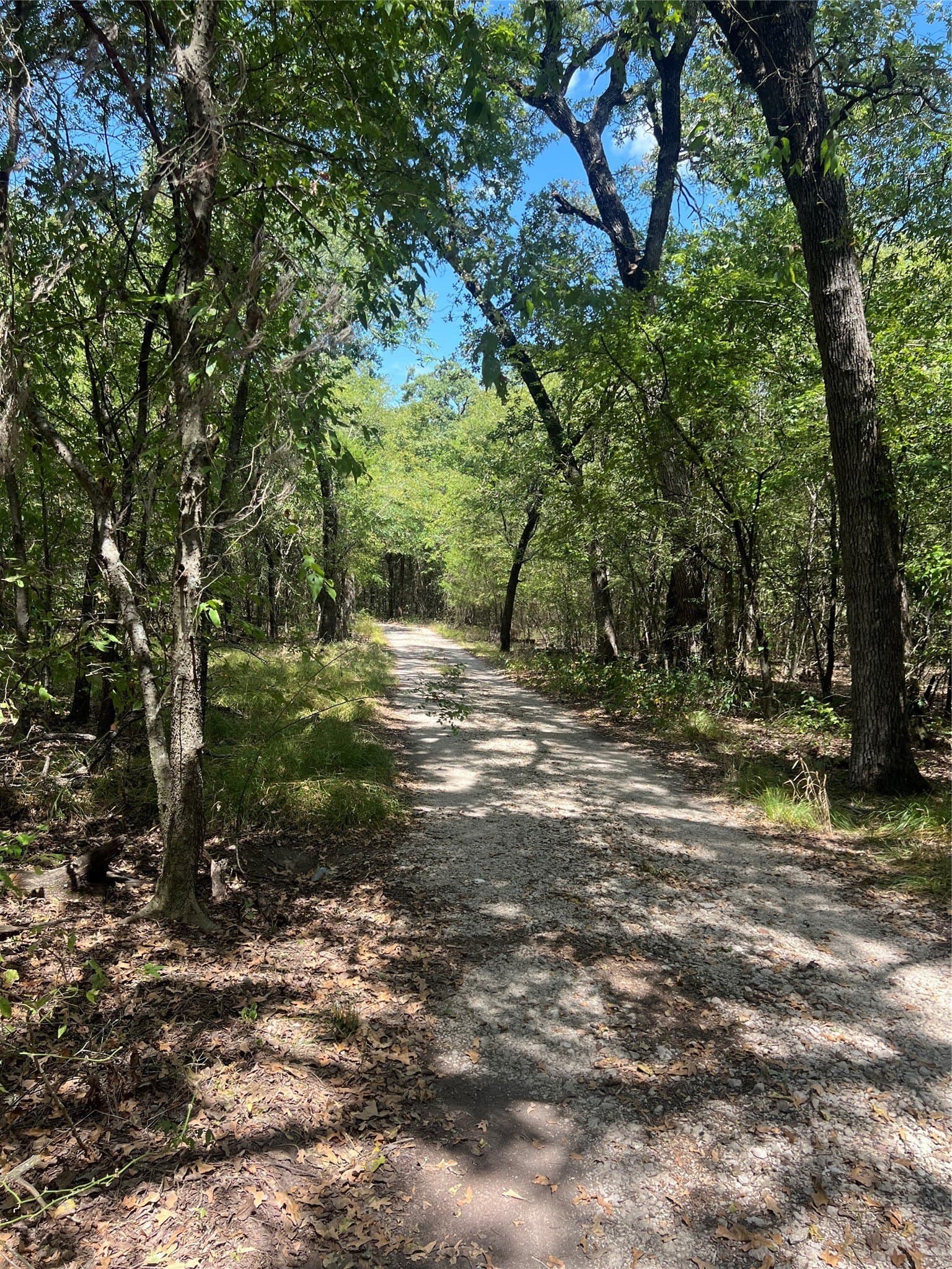 30.38 acres in Kaufman County - photo 11