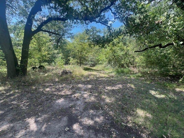 30.38 acres in Kaufman County - photo 4