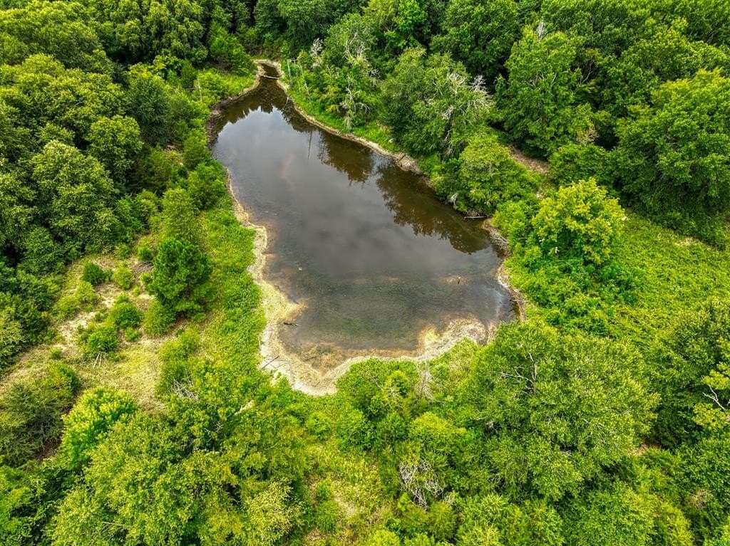 62.2 acres in ANDERSON County - photo 54
