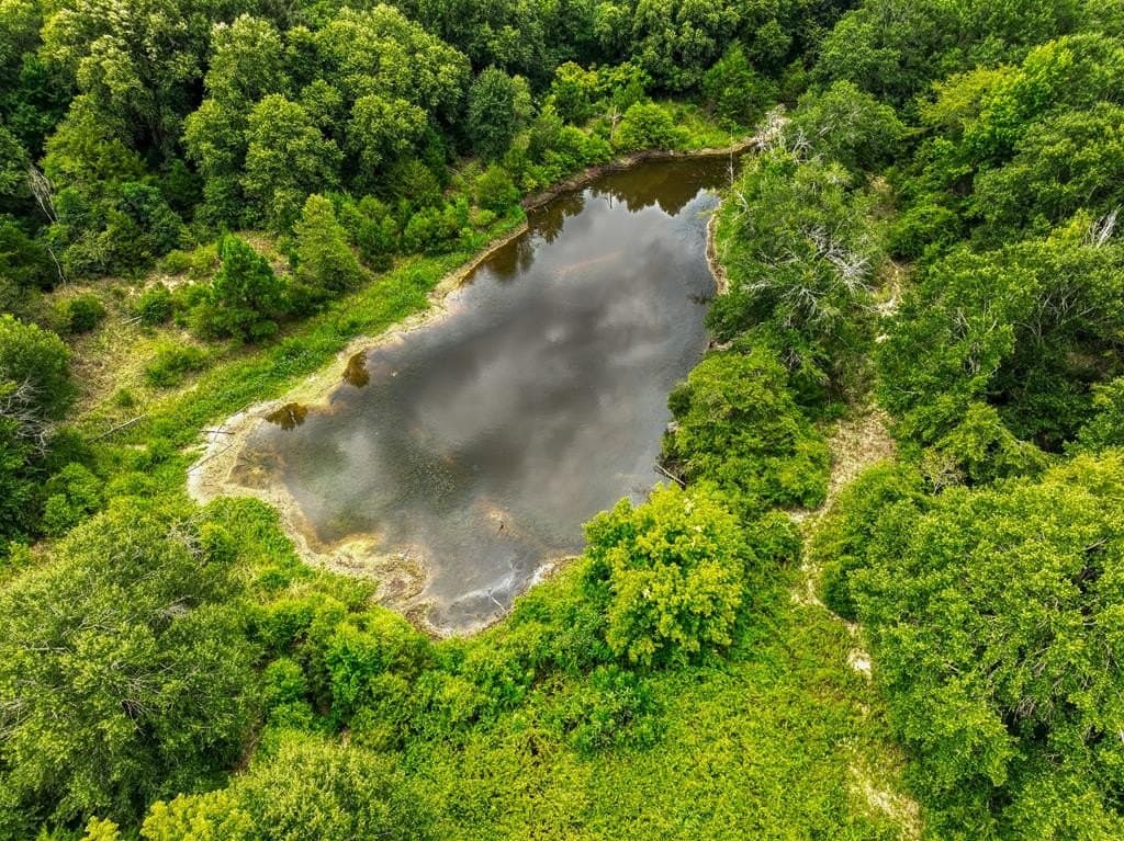 62.2 acres in ANDERSON County - photo 53