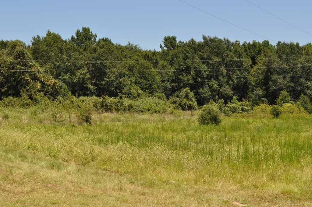 62.2 acres in ANDERSON County - photo 8