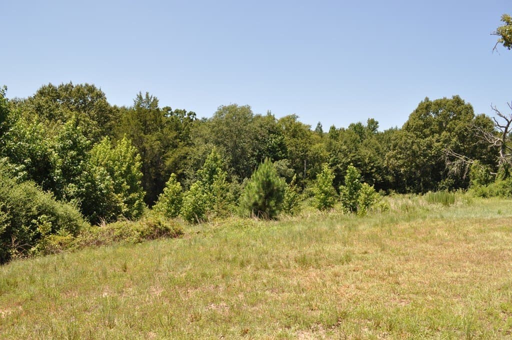 62.2 acres in ANDERSON County - photo 6
