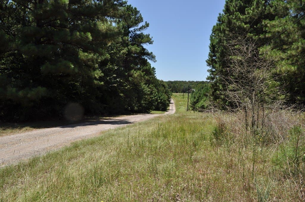 62.2 acres in ANDERSON County - photo 10