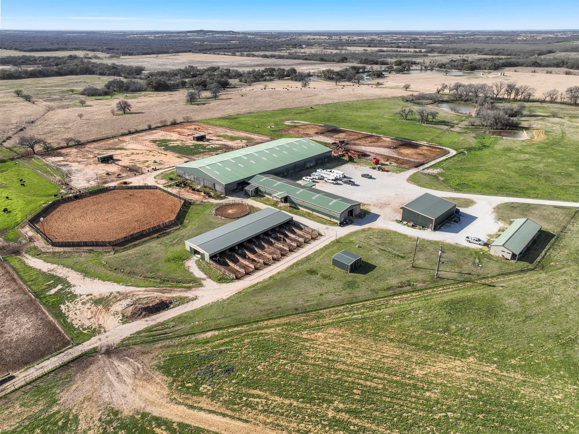 123 acres in Erath County gallery image 2