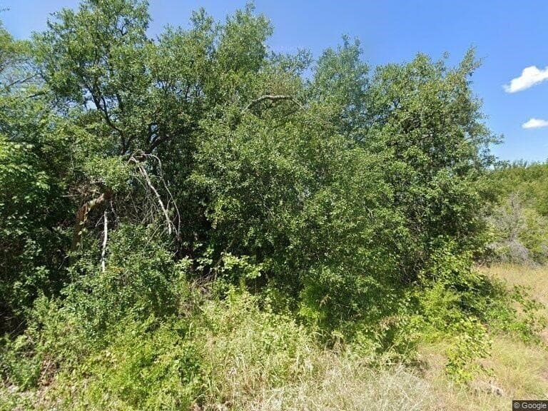 0.03 acres in Hood County gallery image 2