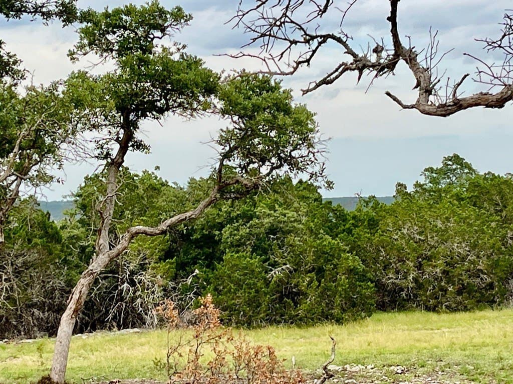 10.02 acres in Gillespie County - photo 8