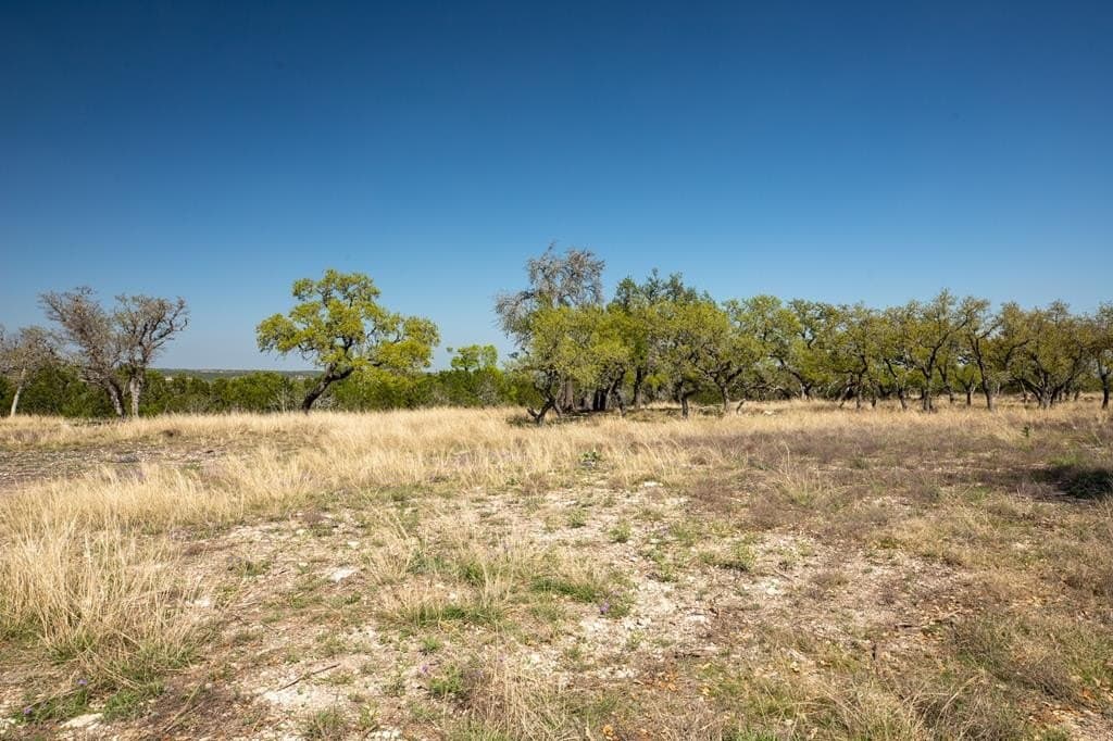10.02 acres in Gillespie County - photo 13