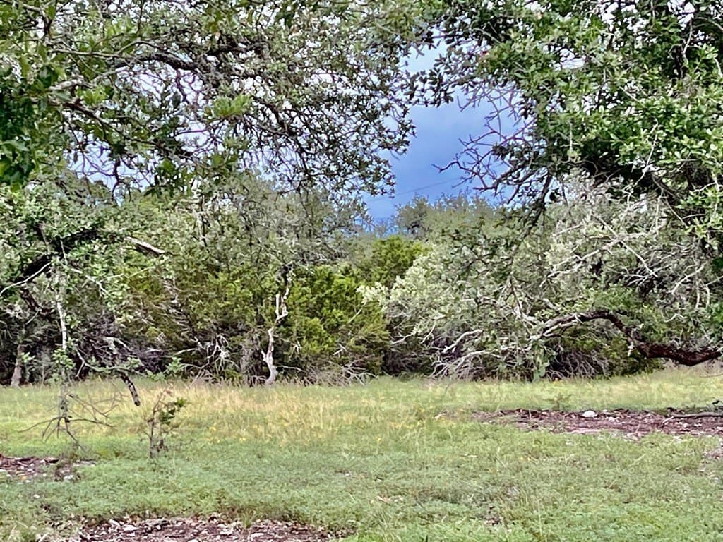 10.02 acres in Gillespie County - photo 11