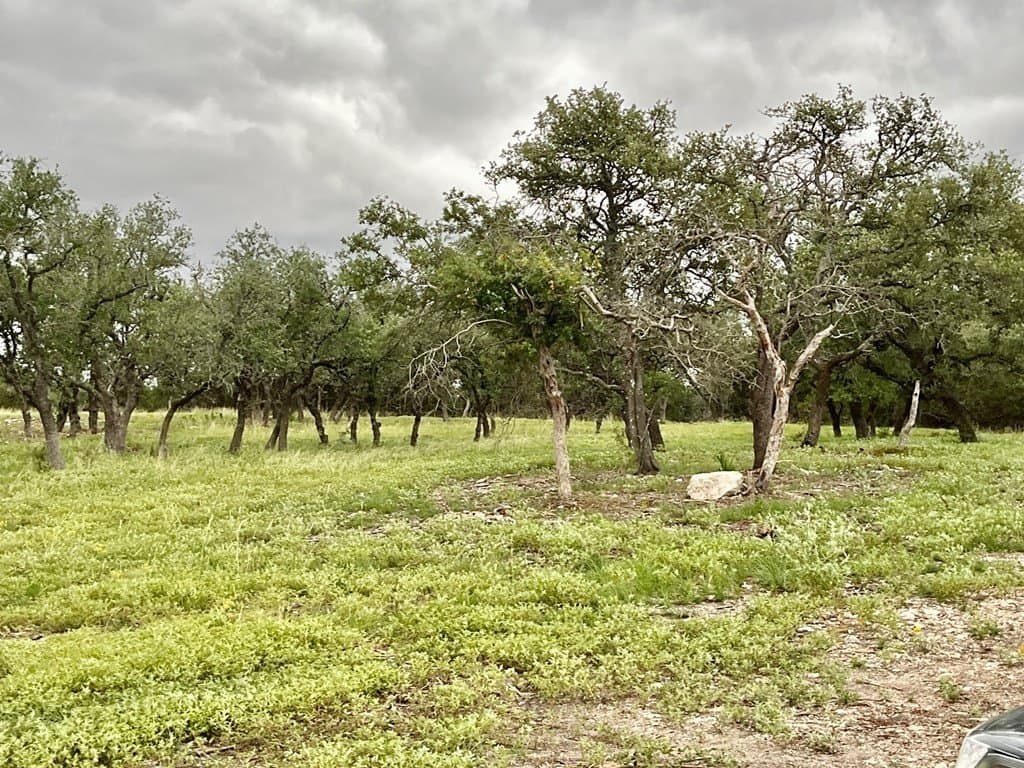 10.02 acres in Gillespie County featured view