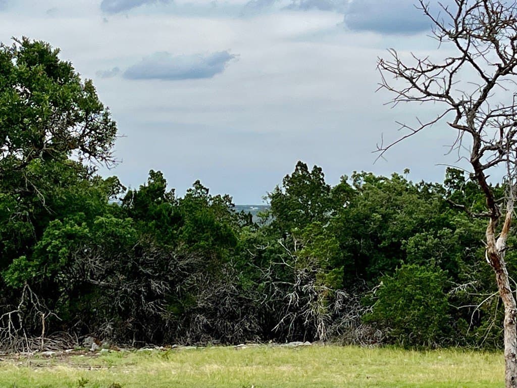 10.02 acres in Gillespie County - photo 10