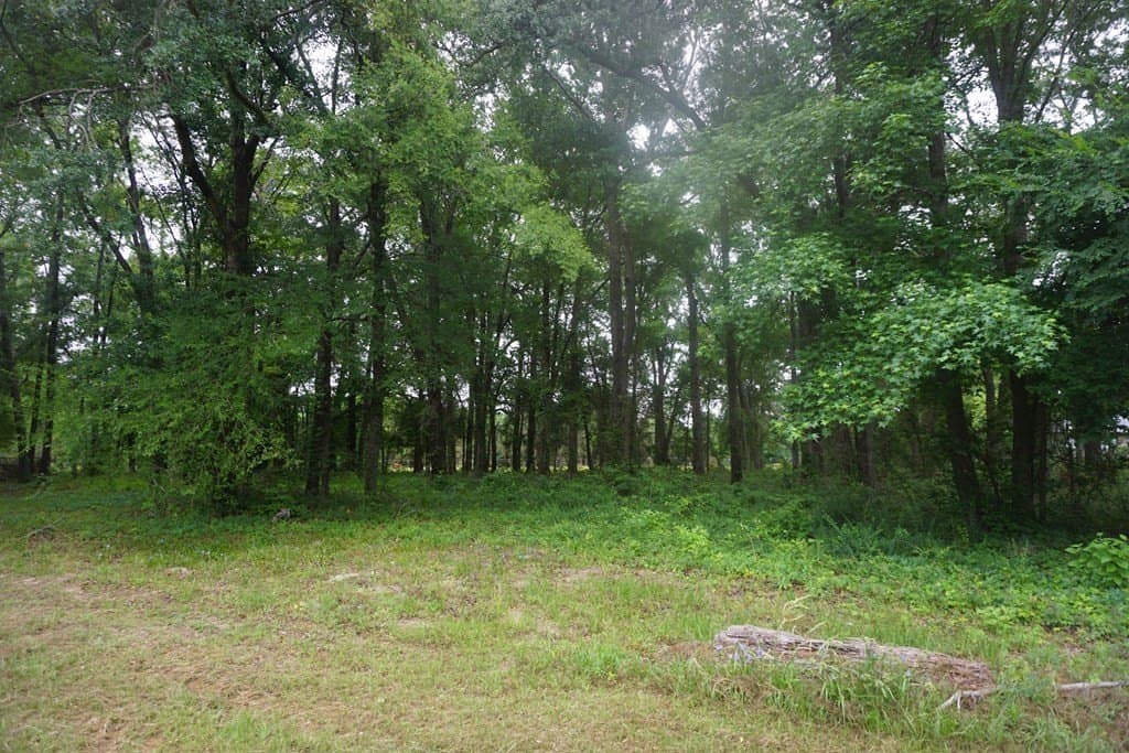 14.35 acres in SMITH County gallery image 4