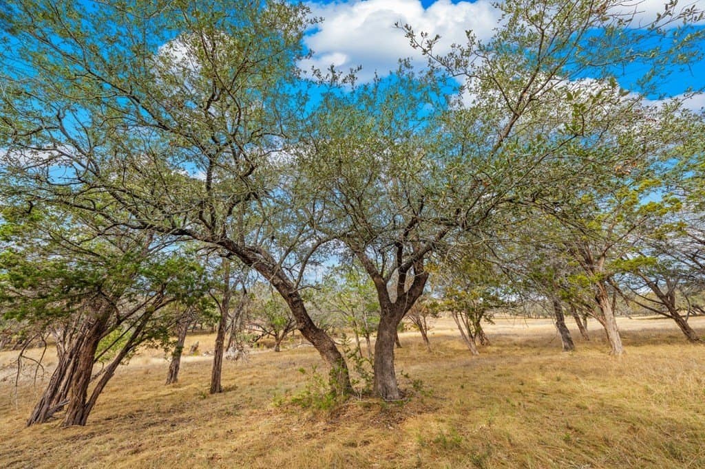 2.44 acres in Kerr County - photo 5