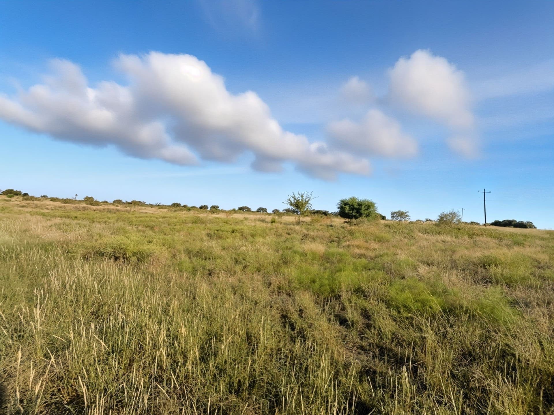 11.26 acres in Hamilton County - photo 3