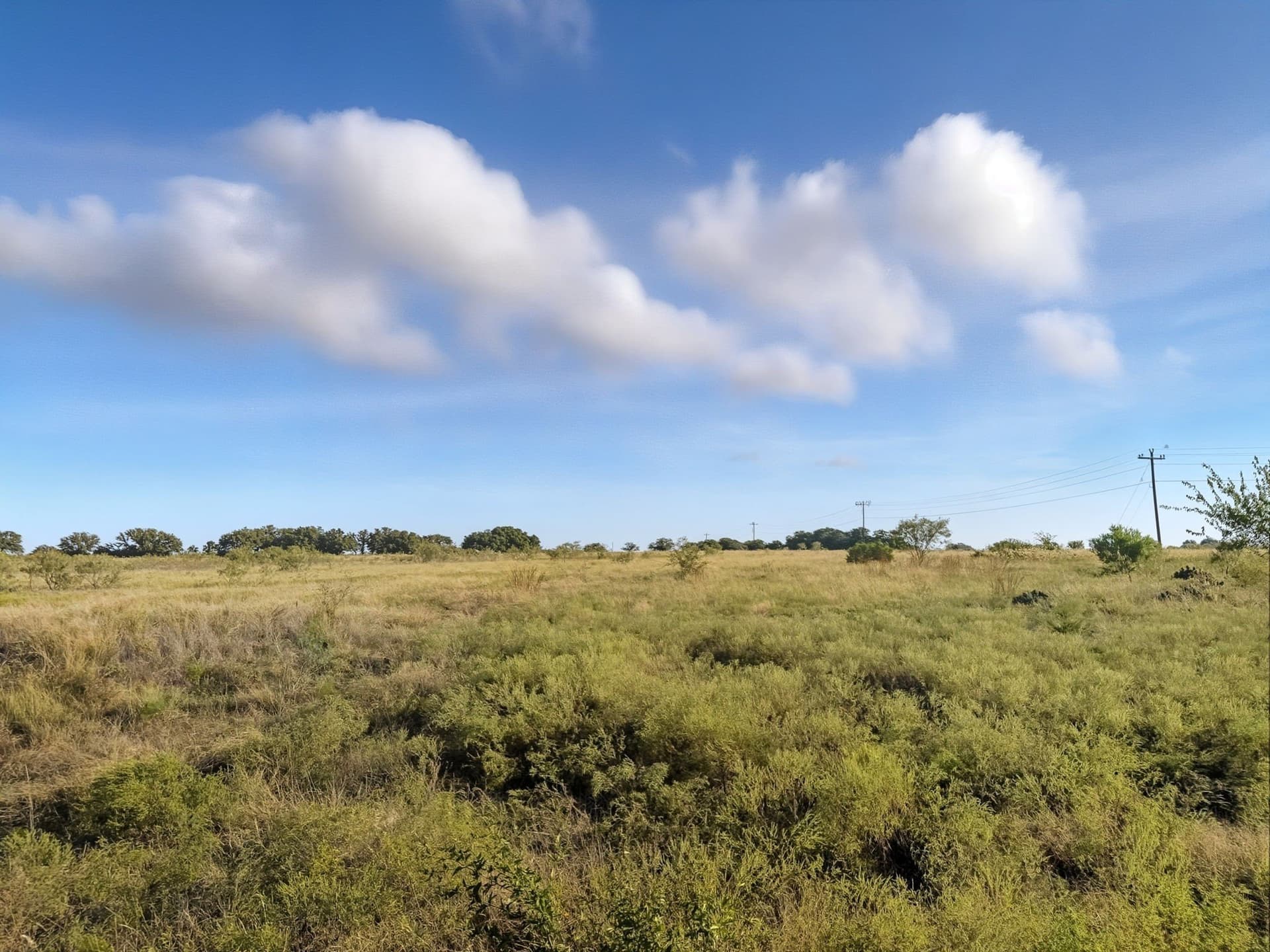 11.26 acres in Hamilton County - photo 11