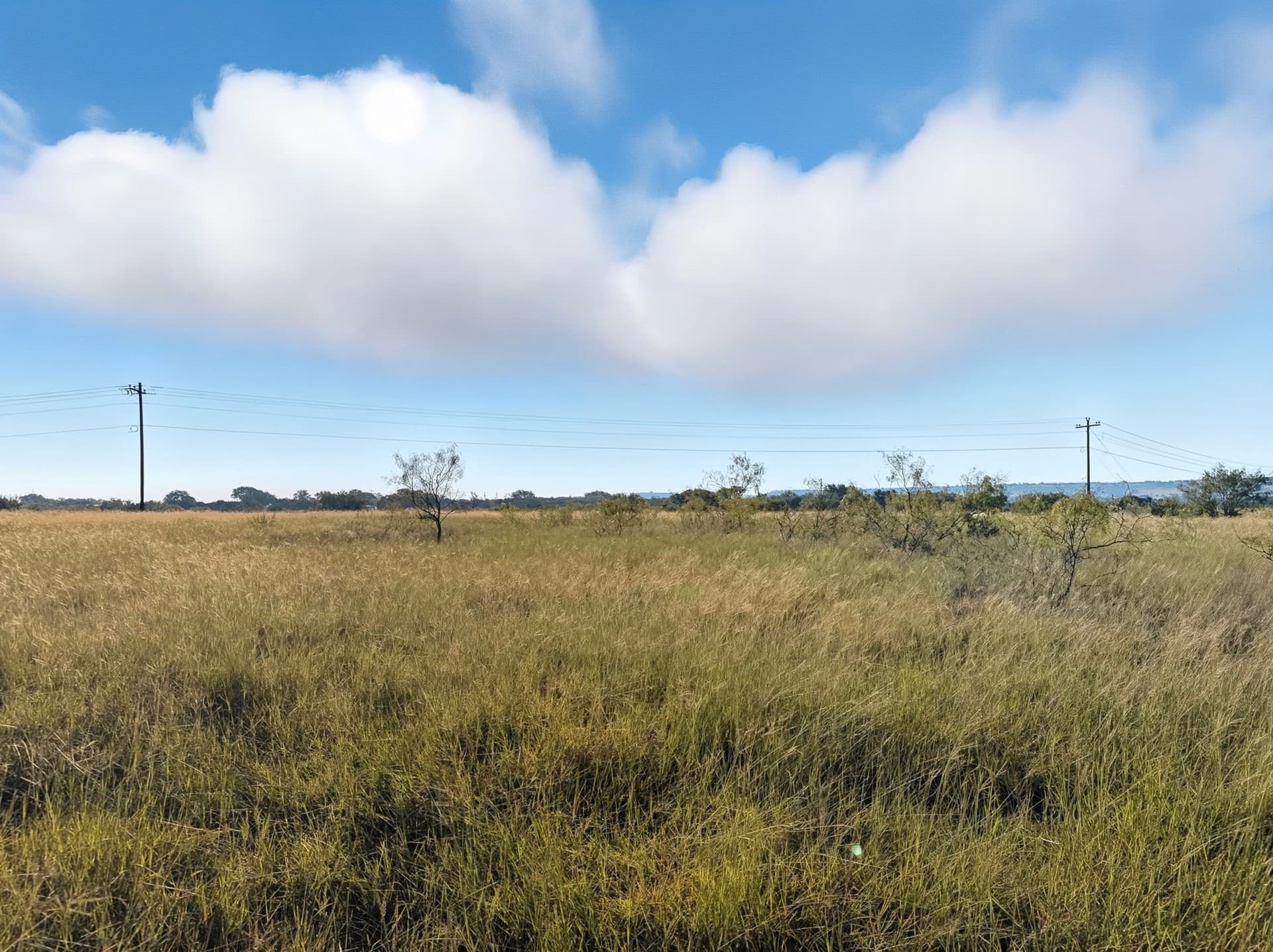 11.26 acres in Hamilton County - photo 10