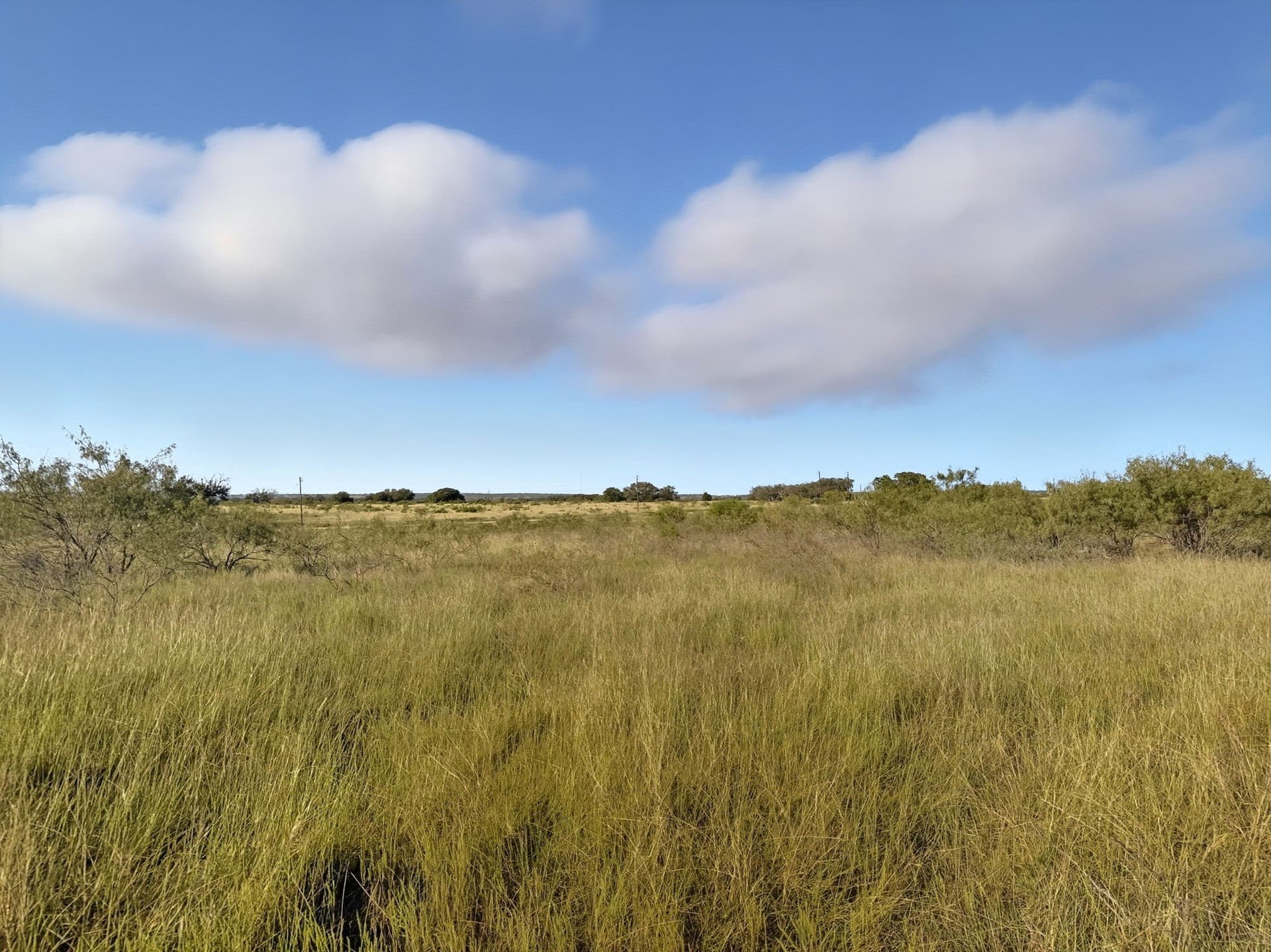 11.26 acres in Hamilton County - photo 9