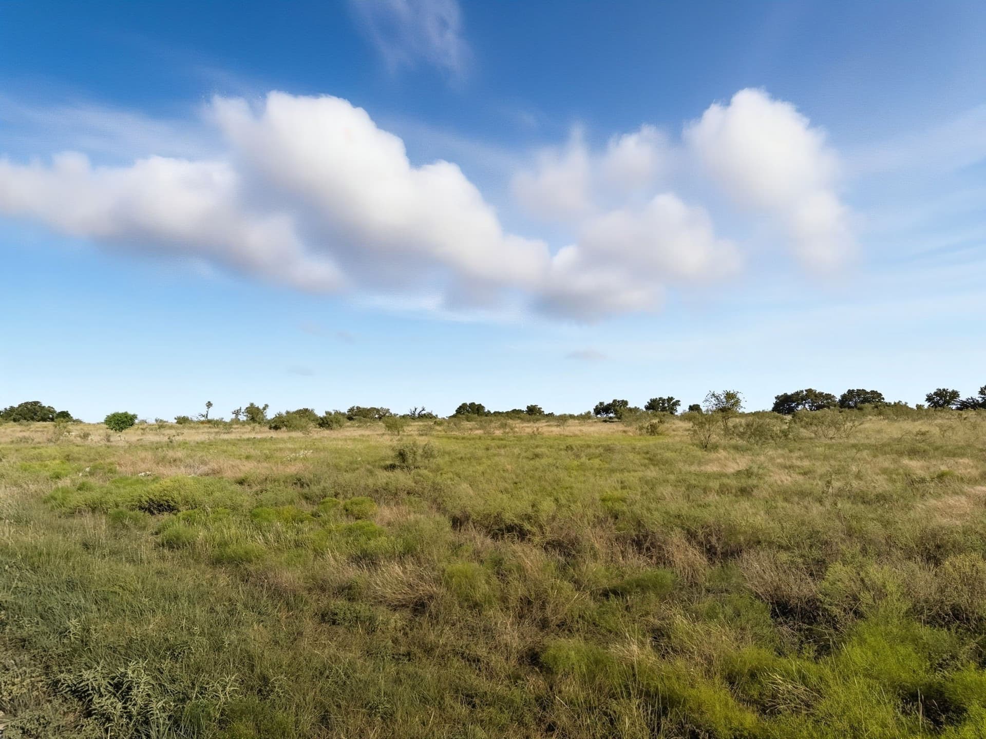 11.26 acres in Hamilton County - photo 17