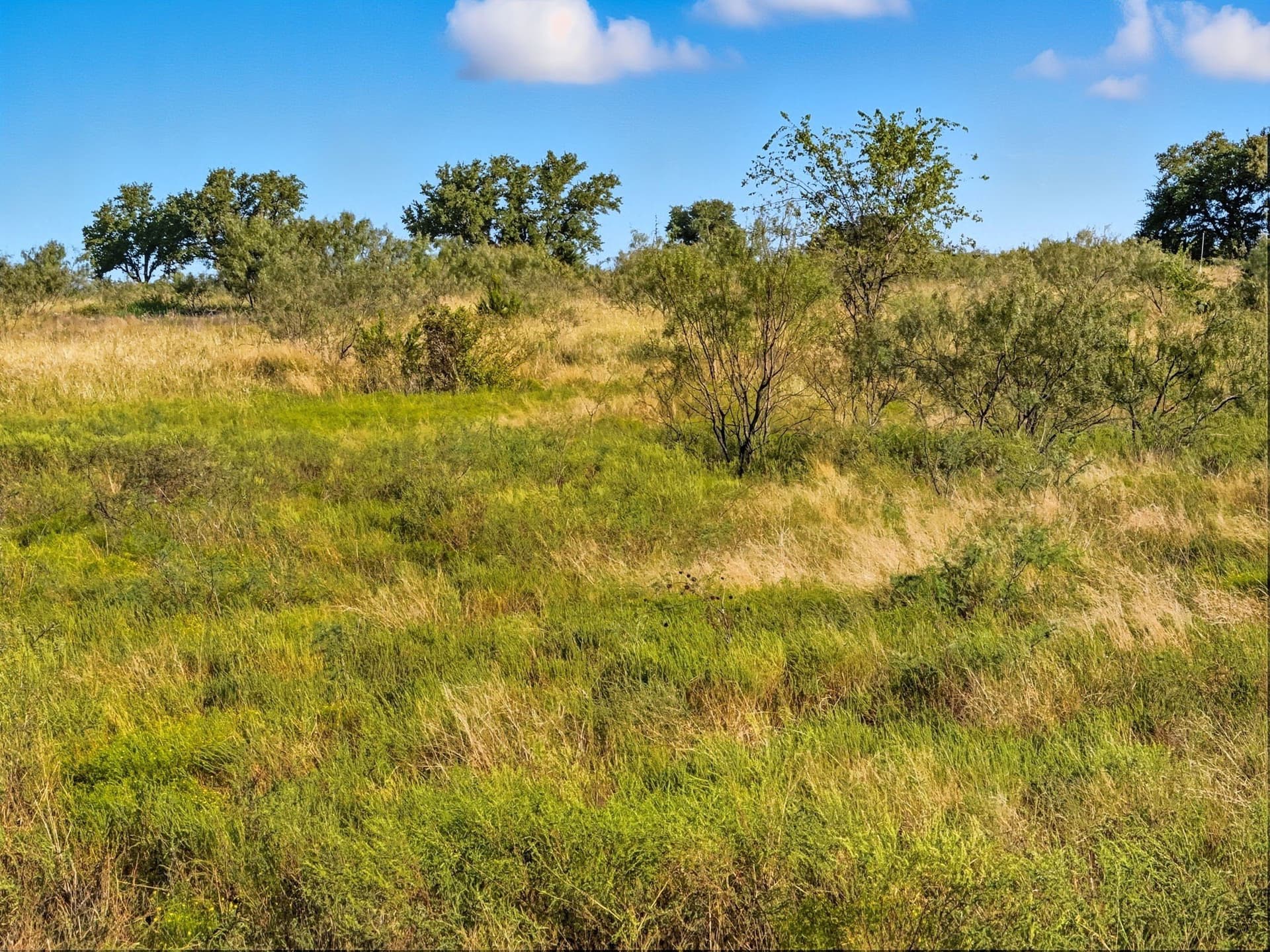 11.26 acres in Hamilton County - photo 14