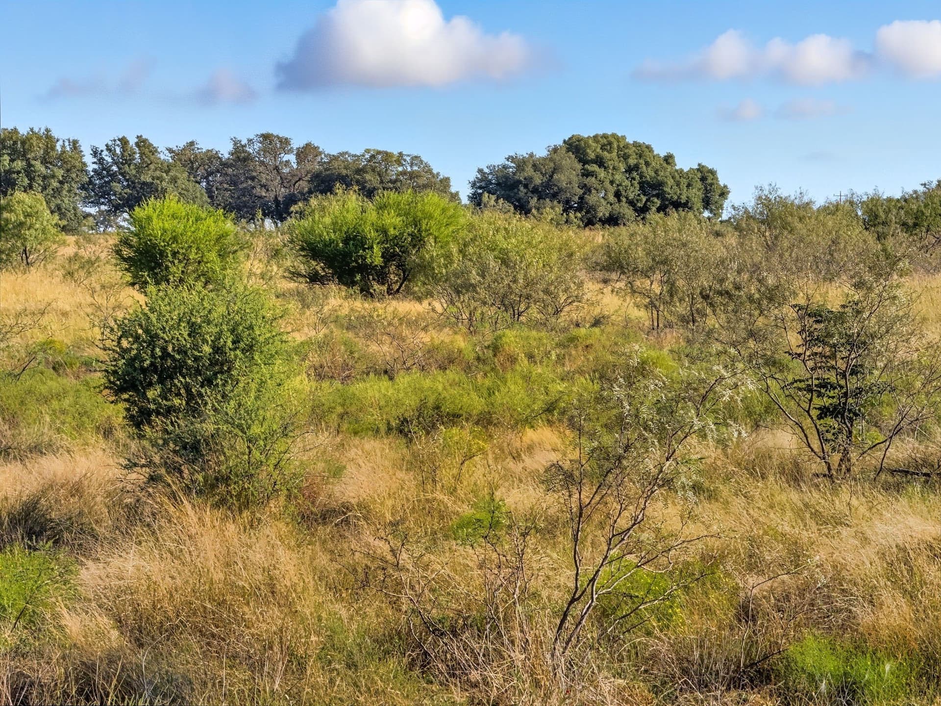 11.26 acres in Hamilton County - photo 15