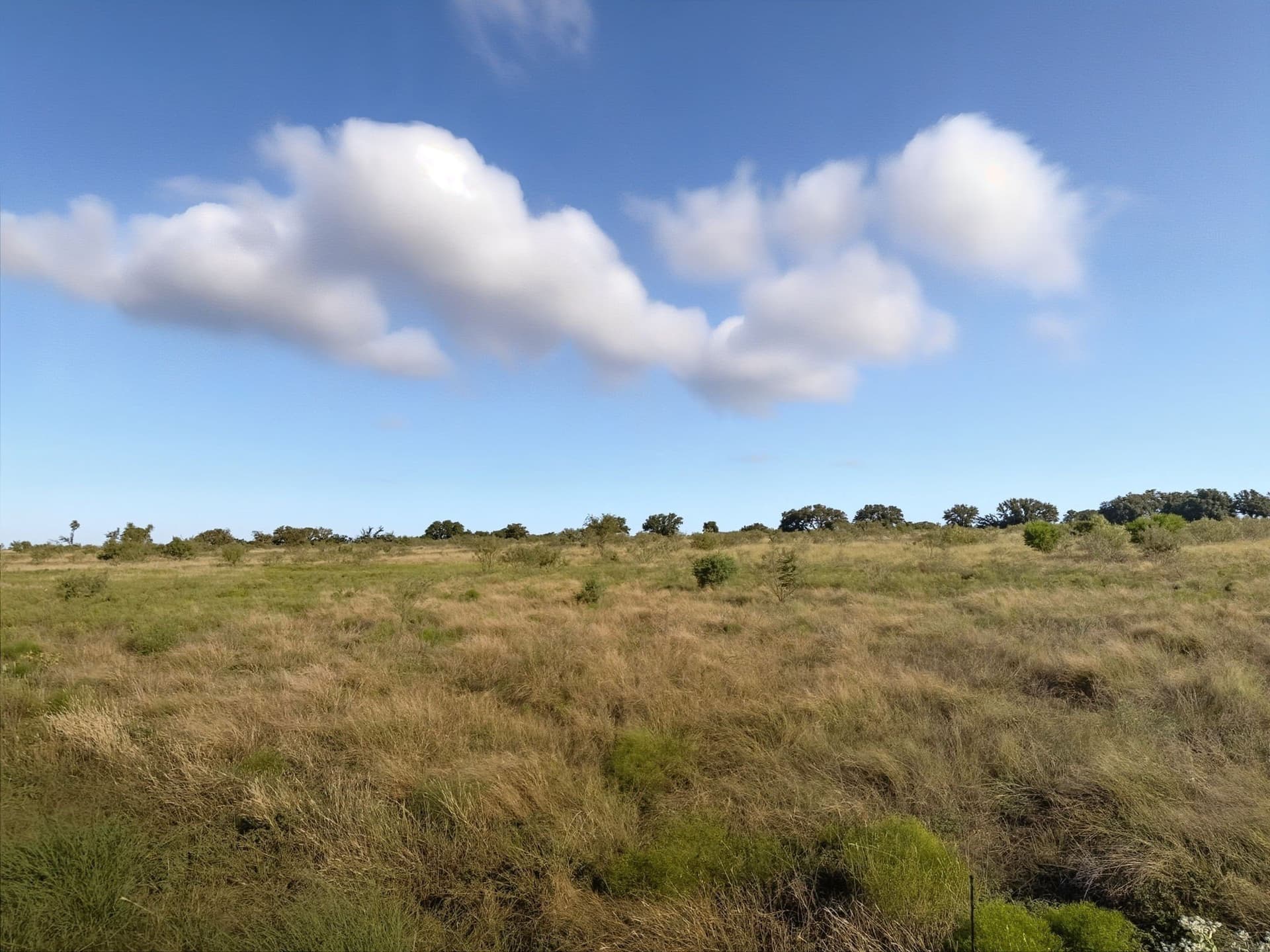 11.26 acres in Hamilton County - photo 12
