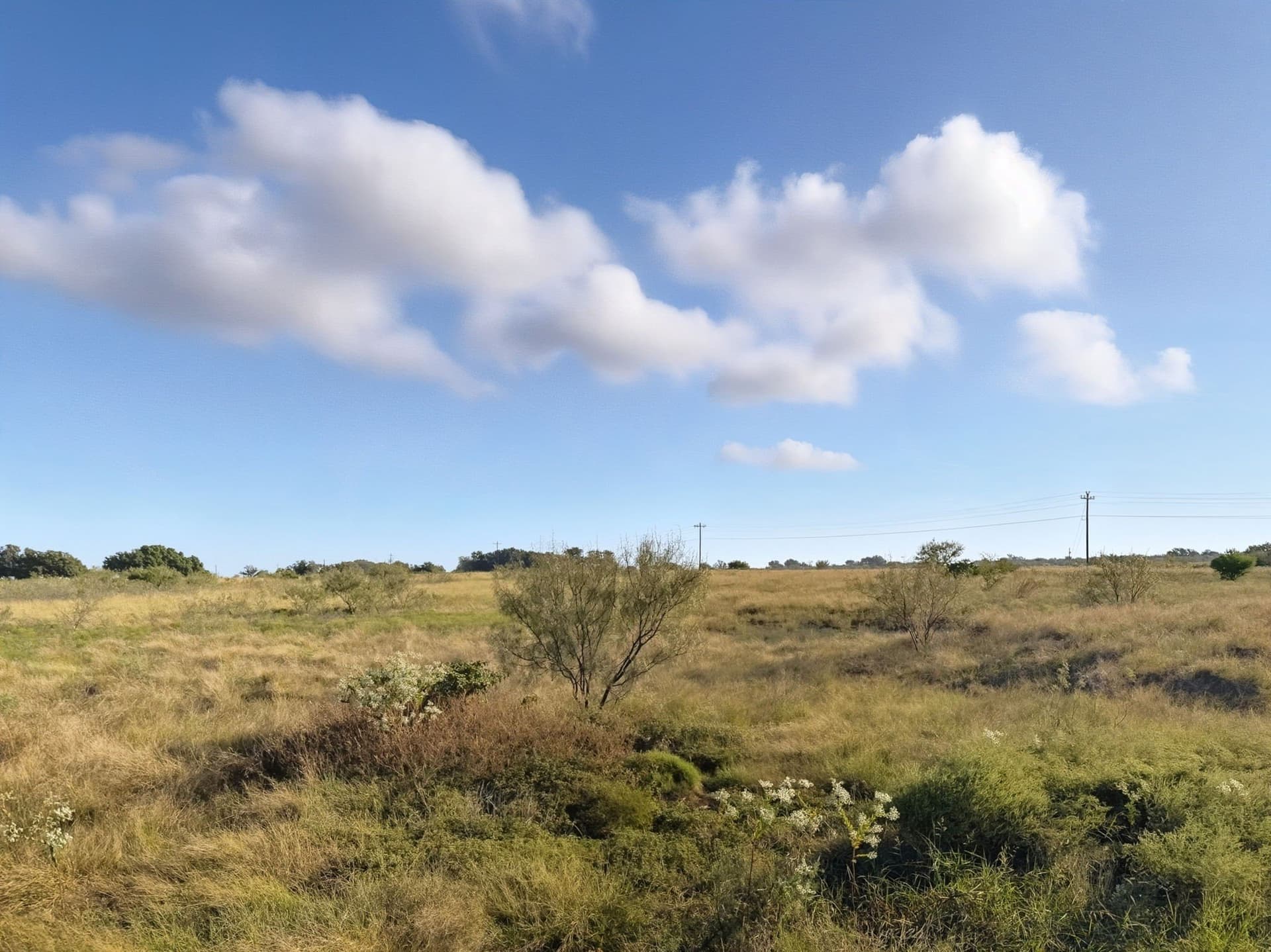 11.26 acres in Hamilton County - photo 13
