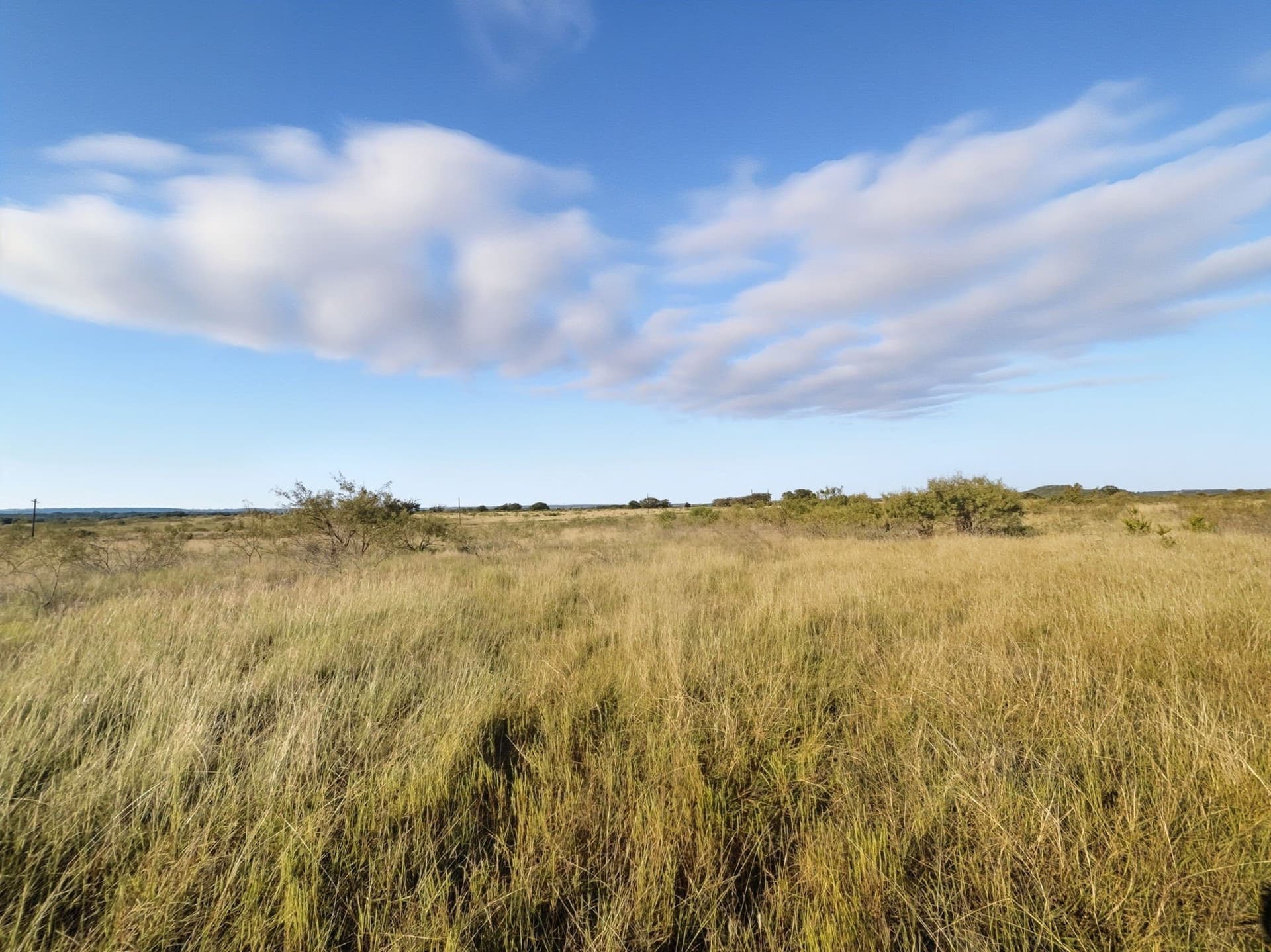 11.26 acres in Hamilton County - photo 8