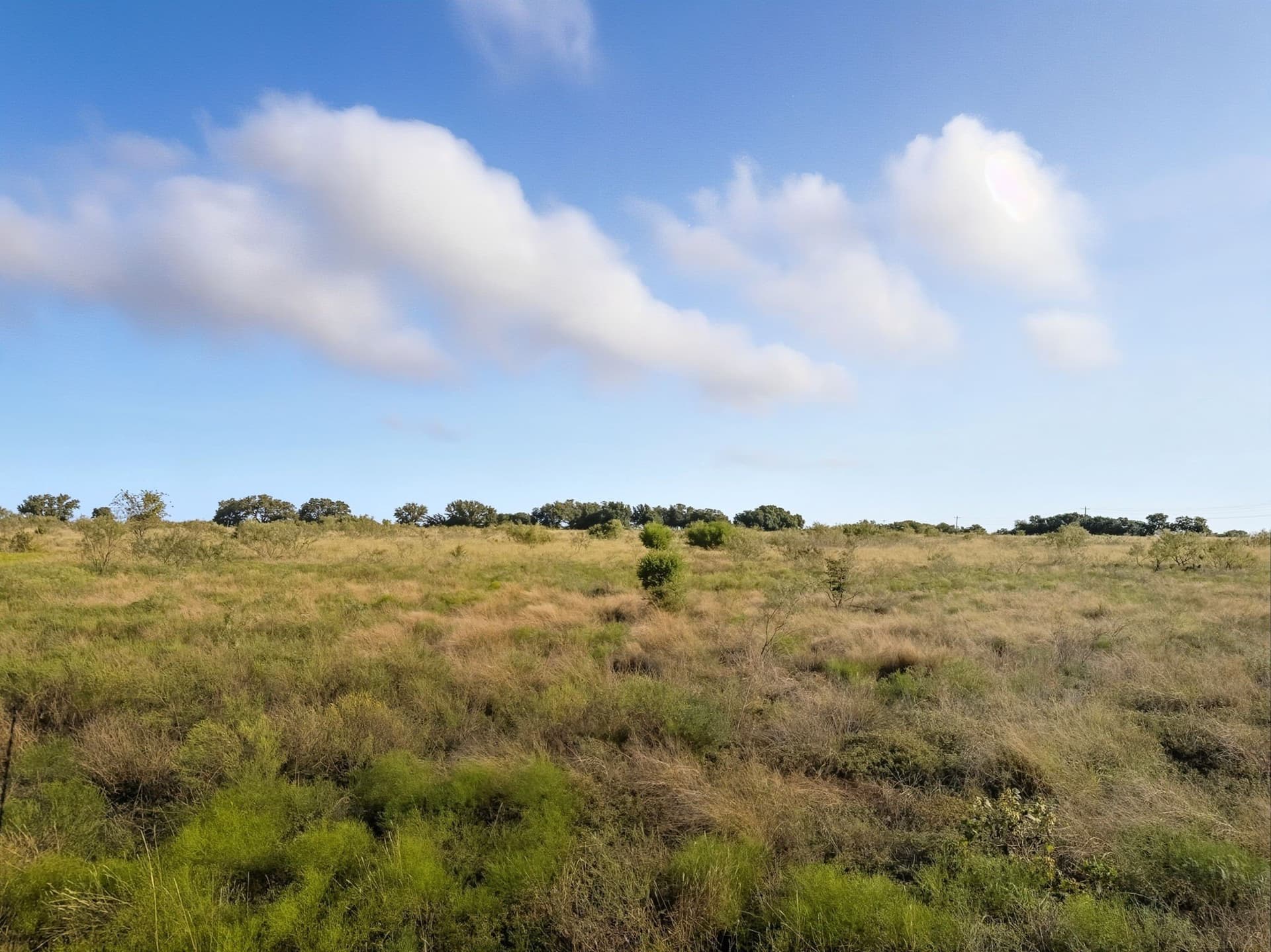 11.26 acres in Hamilton County - photo 16