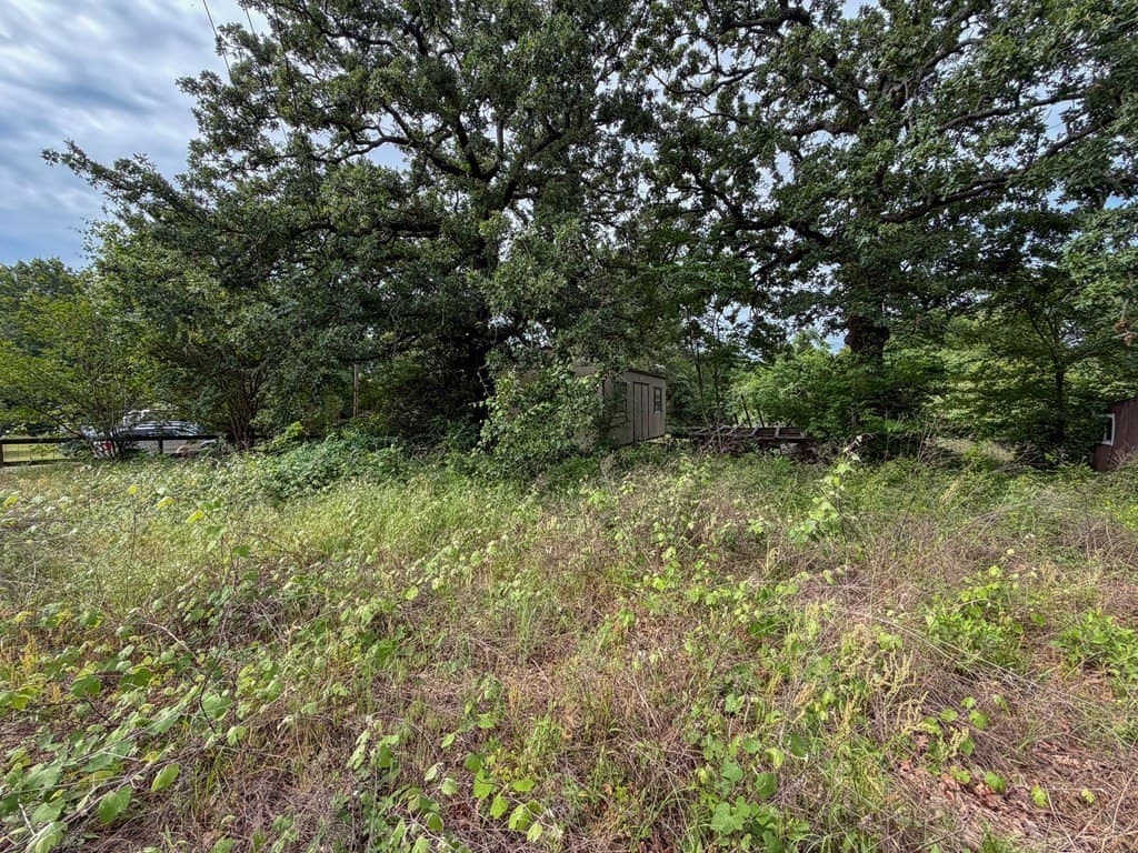 1 acres in VAN ZANDT County gallery image 4