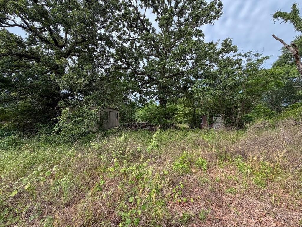 1 acres in VAN ZANDT County gallery image 2