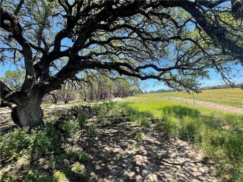 12.59 acres in Burnet County - photo 6