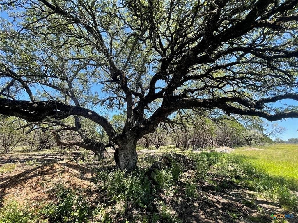 12.59 acres in Burnet County - photo 8
